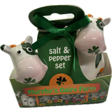 Load image into Gallery viewer, Ceramic Salt and Pepper Shaker Set of 2