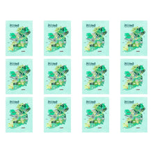 Load image into Gallery viewer, Packs of Painted Ireland Map Cotton Tea Towel