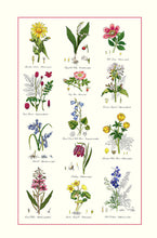 Load image into Gallery viewer, Botanic Garden Tea Towel