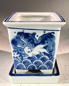 Blue on White Porcelain Bonsai Pot - Square -With Attached Humidity Drip Tray -4 x 4 x 4