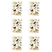 Load image into Gallery viewer, Packs of British Birds Tea Towel 100% Cotton