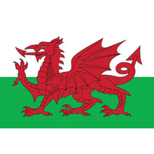 Load image into Gallery viewer, Wales Flag Tea Towel - Cotton Dragon Design