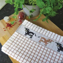 Load image into Gallery viewer, Packs of Poli-Dri Cows Cotton Tea Towel
