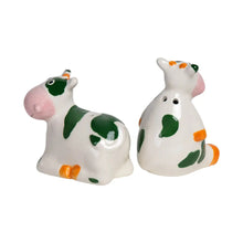 Load image into Gallery viewer, Ceramic Salt and Pepper Shaker Set of 2