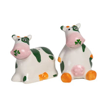 Load image into Gallery viewer, Ceramic Salt and Pepper Shaker Set of 2