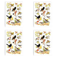 Load image into Gallery viewer, Packs of British Birds Tea Towel 100% Cotton