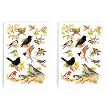 Load image into Gallery viewer, Packs of British Birds Tea Towel 100% Cotton