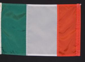 Ireland  Flag With Pole Sleeve